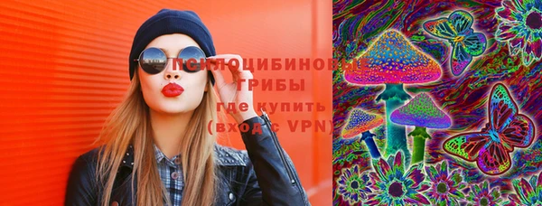 крисы Зеленодольск