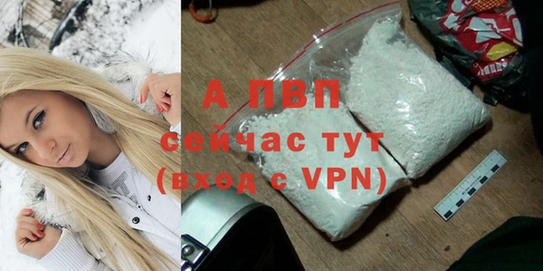 гашик Зерноград
